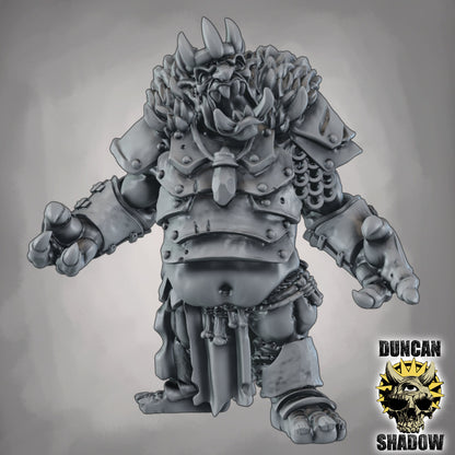 Troll König – 32mm Resin Miniatur mit wechselbaren Waffen & Schilden | Tabletop, Wargaming & Pen & Paper | Design by Duncan Shadow