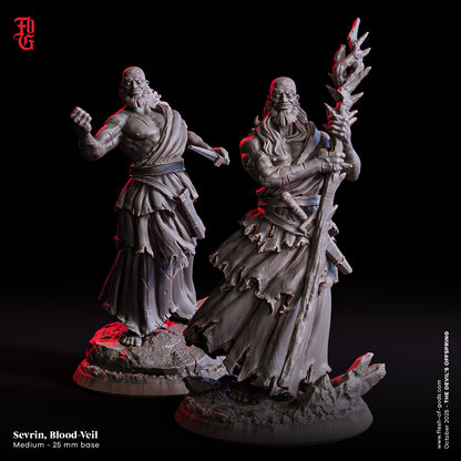 Sevrin, the Blood-Veil | 32 mm Resin Miniatur (25 mm Base) | Flesh of Gods – The Devil’s Offspring | Blutpriester & Kultführer für Tabletop & Rollenspiel