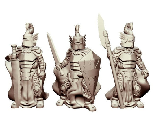 Dragon Knights - Miniaturen 32mm Resin Tabletop by Ill Gotten Games