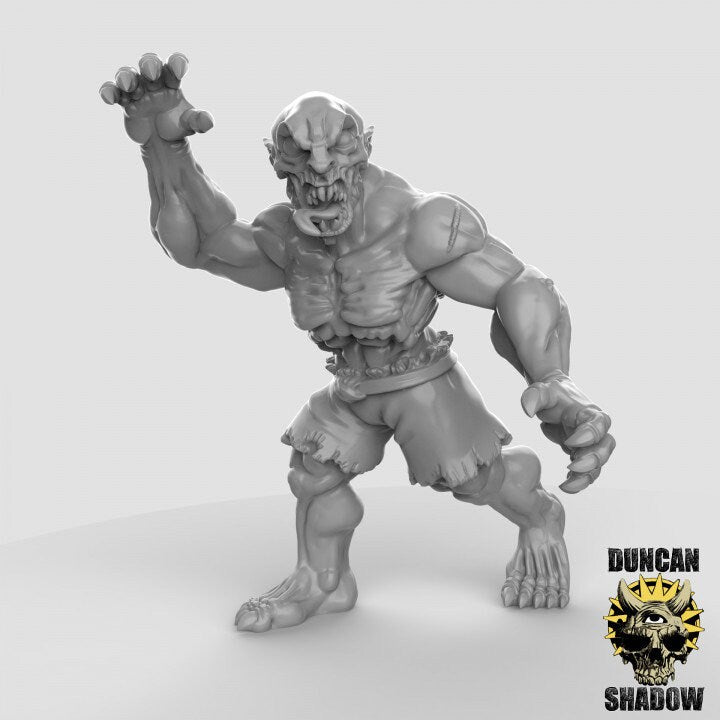 Ghoul - Leichenfresser  32mm  Tabletop  Fantasy  Gaming  D&D  Dungeons and Dragons  Pathfinder  DSA Duncan Shadow