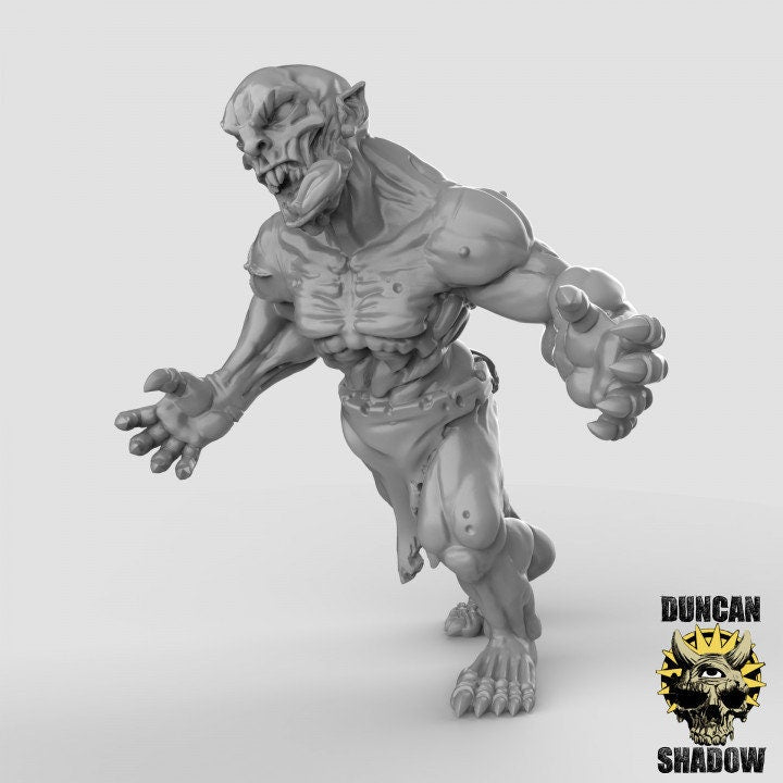 Ghoul - Leichenfresser  32mm  Tabletop  Fantasy  Gaming  D&D  Dungeons and Dragons  Pathfinder  DSA Duncan Shadow