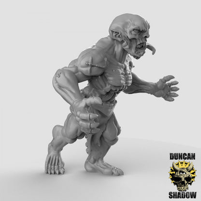 Ghoul - Leichenfresser  32mm  Tabletop  Fantasy  Gaming  D&D  Dungeons and Dragons  Pathfinder  DSA Duncan Shadow