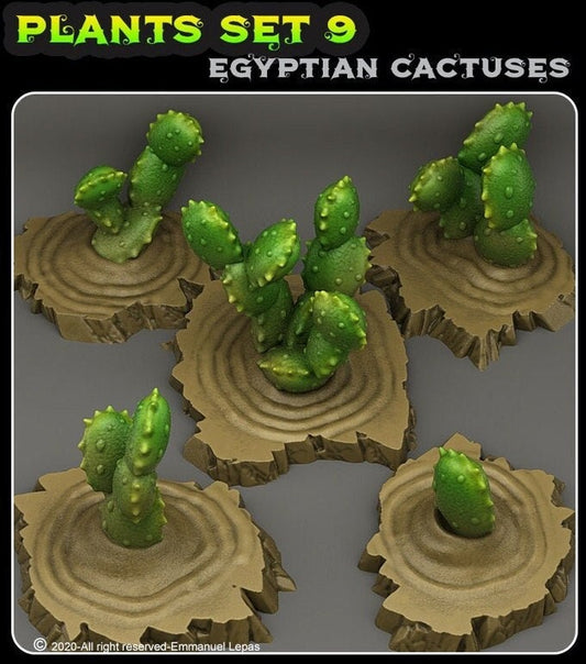 Egyptian Cactuses Pflanze  28mm  Tabletop  Fantasy  Gaming  D&D  Dungeons and Dragons  Pathfinder  DSA  Print Your Monsters