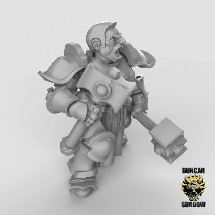 Storm Knights mit Hämmern  32mm  Tabletop  Fantasy  Gaming  D&D  Dungeons and Dragons  Pathfinder  DSA Duncan Shadow