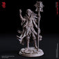 Heian - elfisches Chronomancer (Hero)  32mm  Tabletop  Fantasy  D&D  Dungeons and Dragons  Pathfinder  DSA  Flesh of Gods