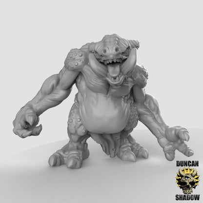 Kobold Troll  32mm  Tabletop  D&D  Dungeons and Dragons  Pathfinder  DSA Duncan Shadow