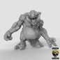 Kobold Troll  32mm  Tabletop  D&D  Dungeons and Dragons  Pathfinder  DSA Duncan Shadow