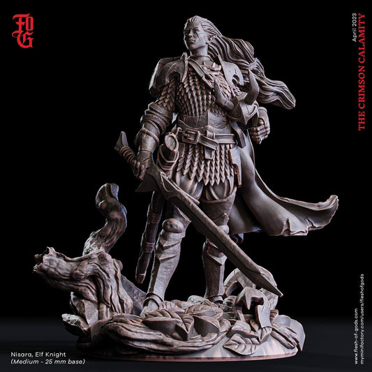 Nisara, Elfenritter (Hero)  32mm  Tabletop  Fantasy  D&D  Dungeons and Dragons  Pathfinder  DSA  Flesh of Gods