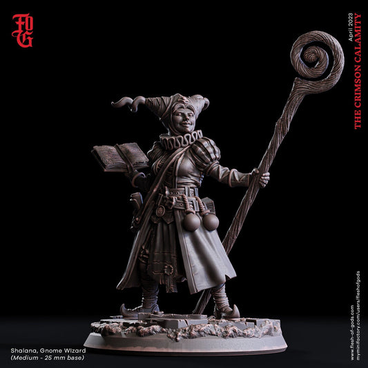 Shalana, Gnom Hexe (Hero)  32mm  Tabletop  Fantasy  D&D  Dungeons and Dragons  Pathfinder  DSA  Flesh of Gods