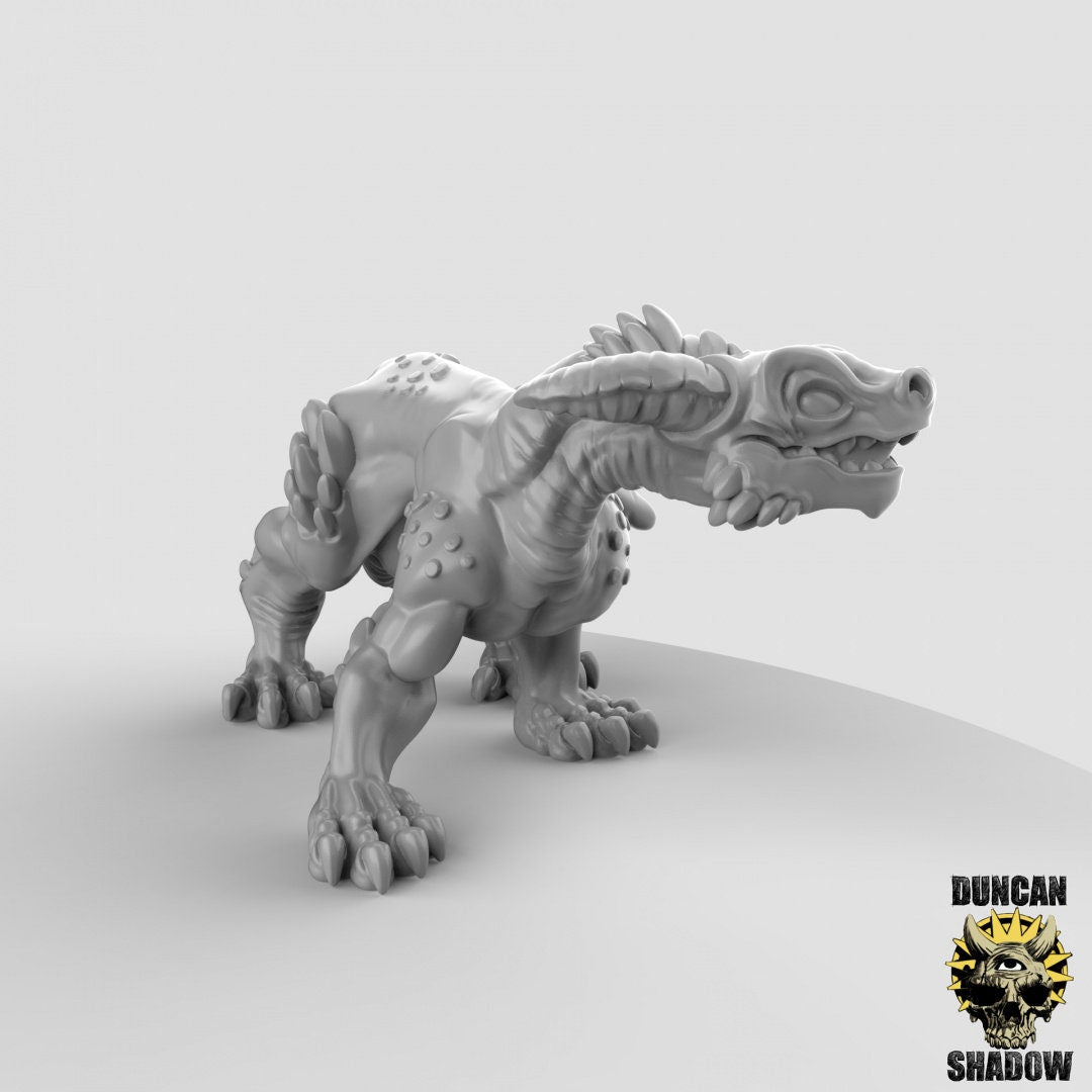 Kobold Drachen Hund in versch. Posen  32mm  Tabletop  D&D  Dungeons and Dragons  Pathfinder  DSA Duncan Shadow