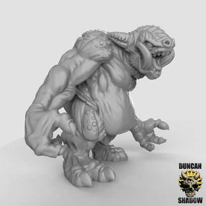 Kobold Troll  32mm  Tabletop  D&D  Dungeons and Dragons  Pathfinder  DSA Duncan Shadow