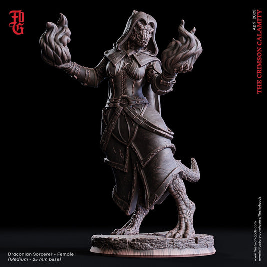 Drachen-Hexe (Enemy)  32mm  Tabletop  Fantasy  D&D  Dungeons and Dragons  Pathfinder  DSA  Flesh of Gods
