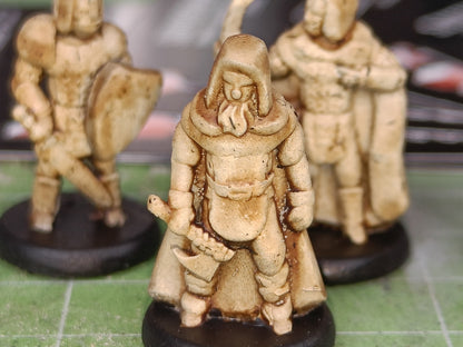 Pocket Tactics (4th Ed.) * Legion des High Kings (einzelne Armee)