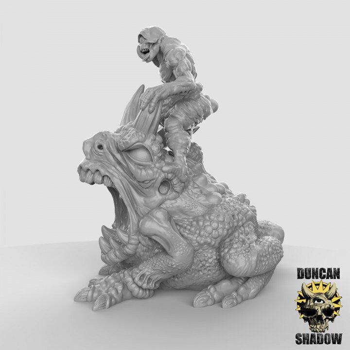 Dämon auf Pestkröte  32mm  Tabletop  D&D  Dungeons and Dragons  Pathfinder  DSA Duncan Shadow