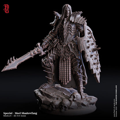 Mael Shadowfang (by Victor Lopez)  32mm  Tabletop  Fantasy  D&D  Dungeons and Dragons  Pathfinder  DSA  Flesh of Gods
