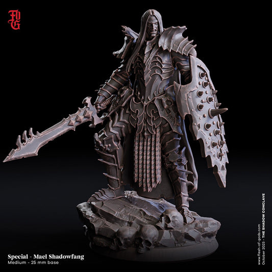 Mael Shadowfang (by Victor Lopez)  32mm  Tabletop  Fantasy  D&D  Dungeons and Dragons  Pathfinder  DSA  Flesh of Gods
