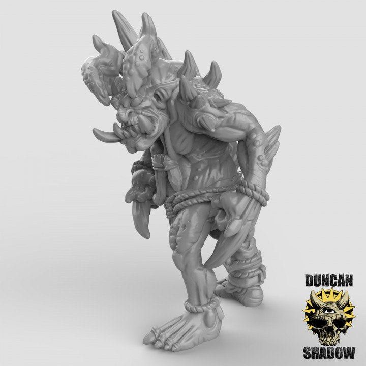 Chaos-Trolls  32mm  Tabletop  D&D  Dungeons and Dragons  Pathfinder  DSA Duncan Shadow
