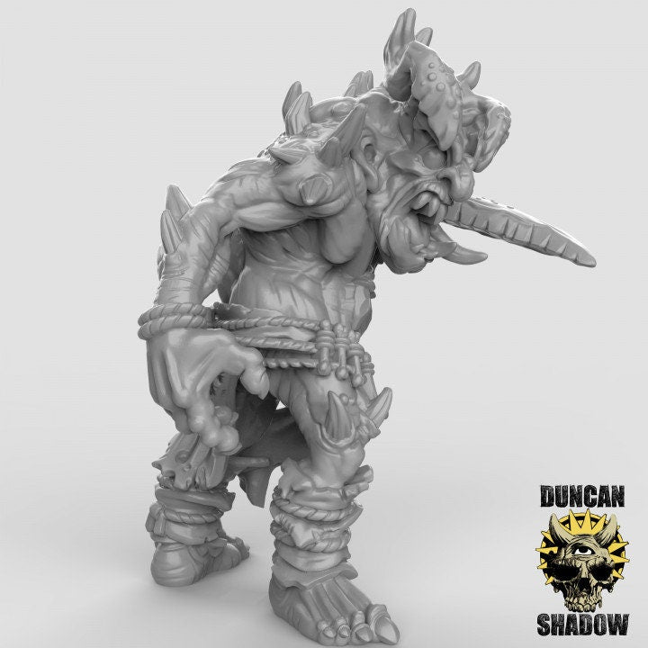 Chaos-Trolls  32mm  Tabletop  D&D  Dungeons and Dragons  Pathfinder  DSA Duncan Shadow