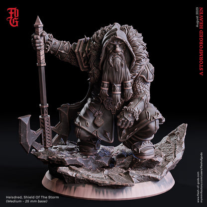 Helsdred, Schild des Sturms (Hero)  32mm  Flesh of Gods