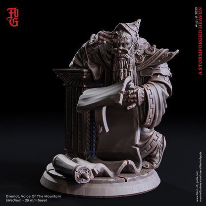 Dremot, Stimme des Berges (NPC)  32mm  Flesh of Gods