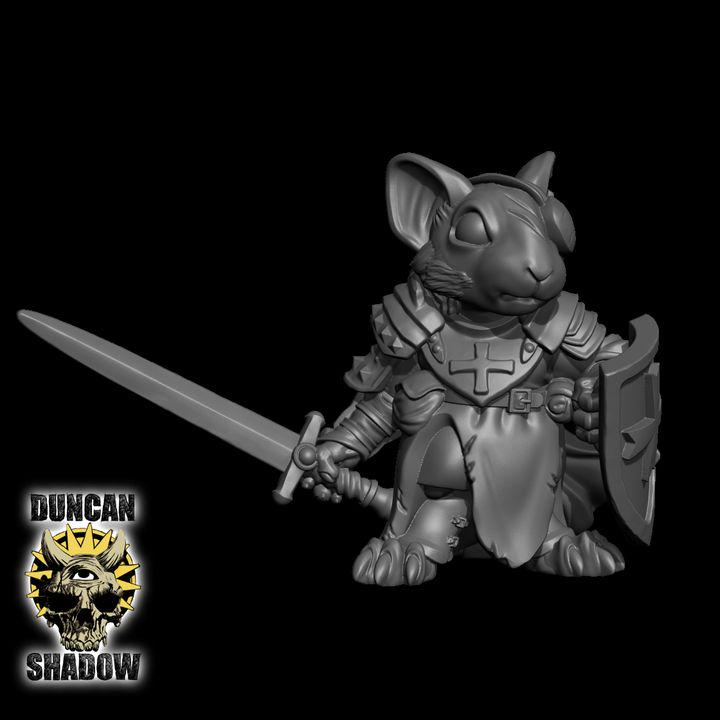 Mousle Crusader mit Schwert und Schild  32mm  Tabletop  Fantasy  Gaming  D&D  Dungeons and Dragons  Pathfinder  DSA Duncan Shadow