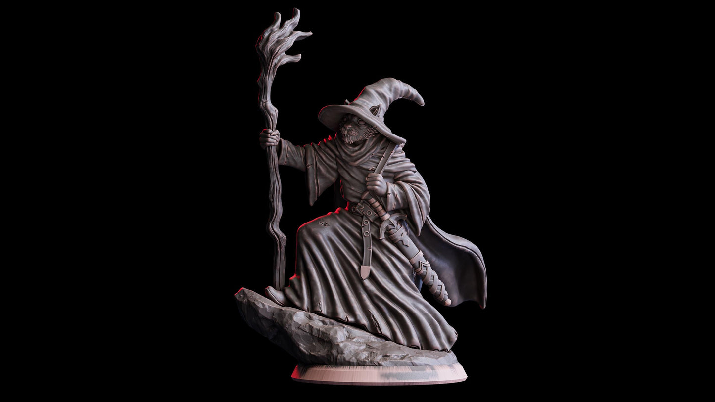 Gary, the Grey - Catfolk Wizard (Hero)  32mm  Tabletop  Fantasy  D&D  Dungeons and Dragons  Pathfinder  DSA  Flesh of Gods