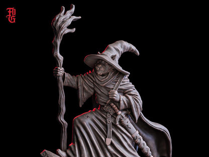 Gary, the Grey - Catfolk Wizard (Hero)  32mm  Tabletop  Fantasy  D&D  Dungeons and Dragons  Pathfinder  DSA  Flesh of Gods