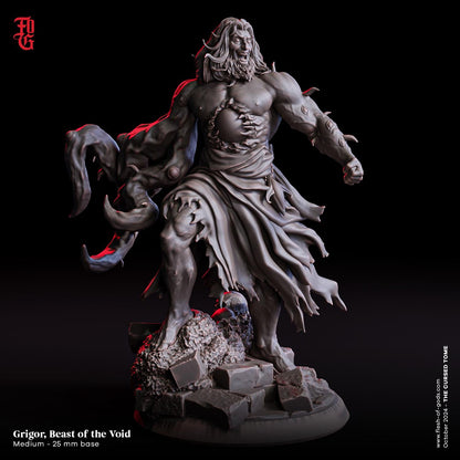 Grigor, Beast of the Void (Enemy)  32mm  Tabletop  Fantasy  D&D  Dungeons and Dragons  Pathfinder  DSA  Flesh of Gods