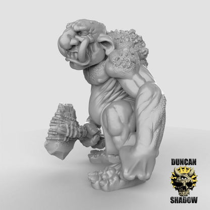 Stone Trolls  32mm  Tabletop  Fantasy  Gaming  D&D  Dungeons and Dragons  Pathfinder  DSA Duncan Shadow