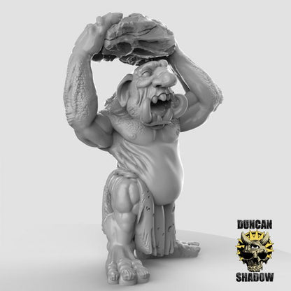 Stone Trolls  32mm  Tabletop  Fantasy  Gaming  D&D  Dungeons and Dragons  Pathfinder  DSA Duncan Shadow