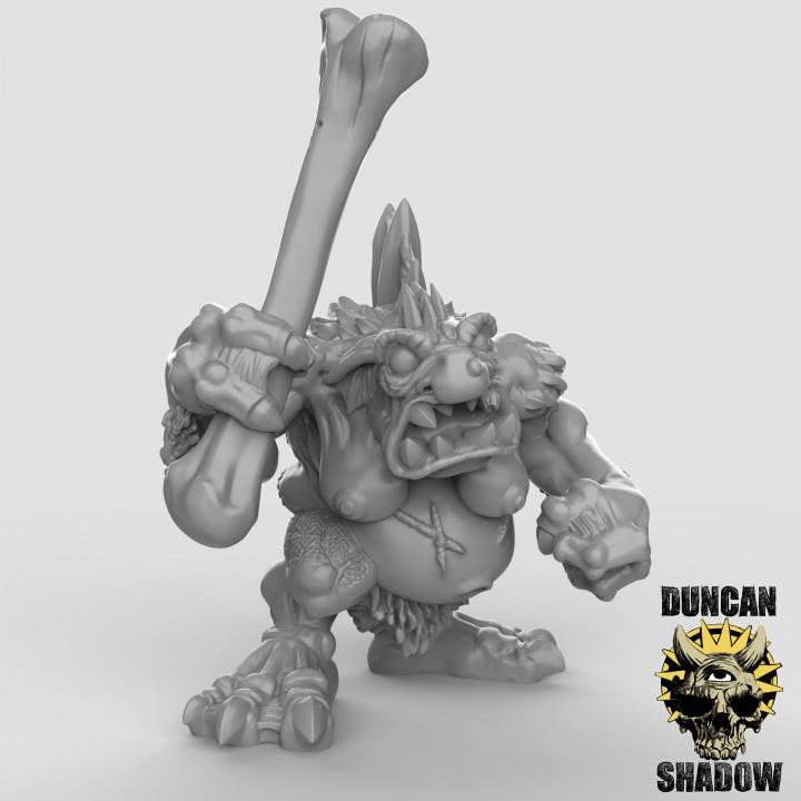 Female Trolls  32mm  Tabletop  Fantasy  Gaming  D&D  Dungeons and Dragons  Pathfinder  DSA Duncan Shadow