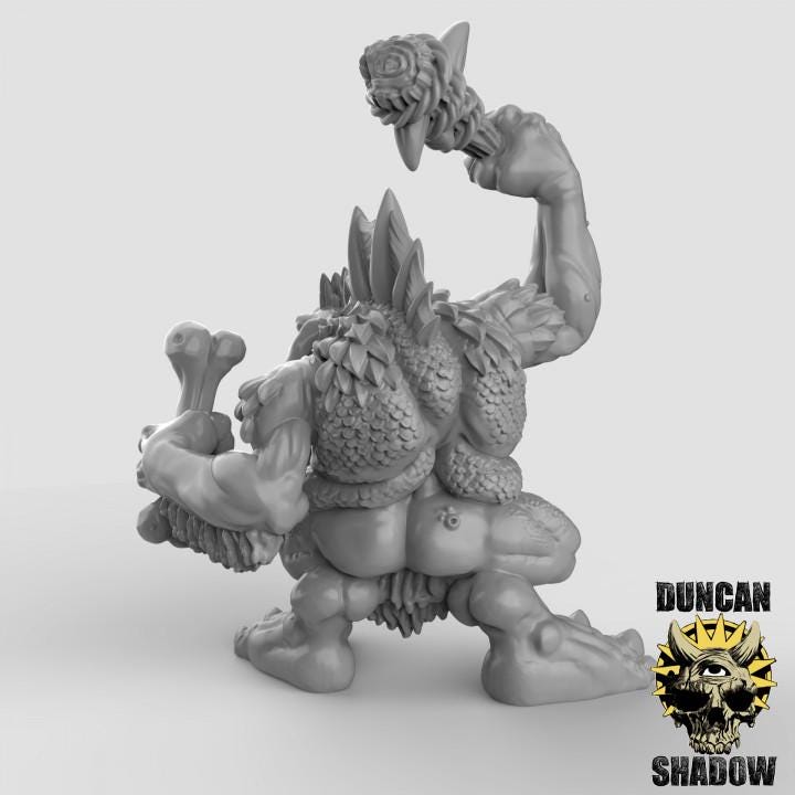 Female Trolls  32mm  Tabletop  Fantasy  Gaming  D&D  Dungeons and Dragons  Pathfinder  DSA Duncan Shadow