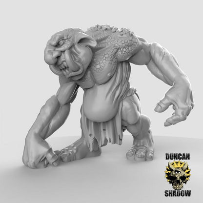 Stone Trolls  32mm  Tabletop  Fantasy  Gaming  D&D  Dungeons and Dragons  Pathfinder  DSA Duncan Shadow