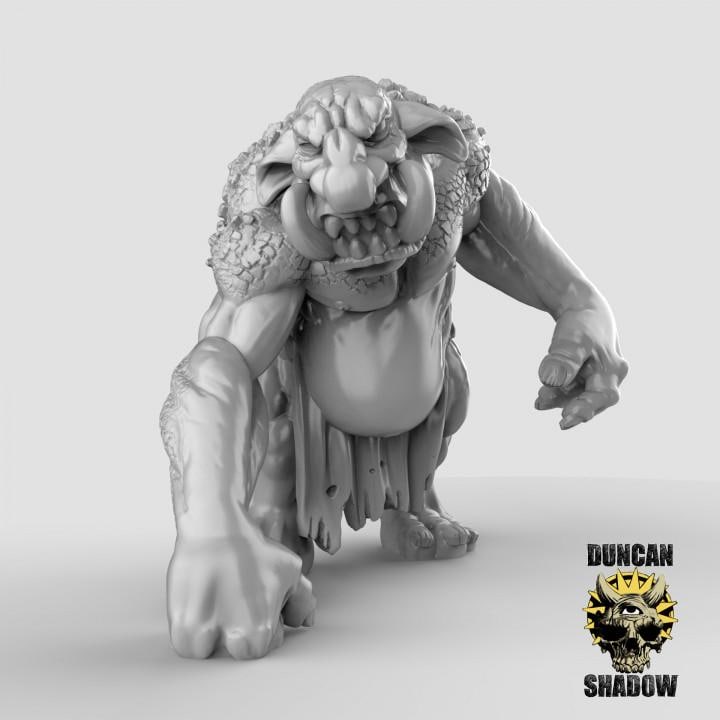 Stone Trolls  32mm  Tabletop  Fantasy  Gaming  D&D  Dungeons and Dragons  Pathfinder  DSA Duncan Shadow