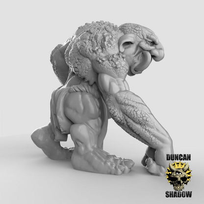 Stone Trolls  32mm  Tabletop  Fantasy  Gaming  D&D  Dungeons and Dragons  Pathfinder  DSA Duncan Shadow