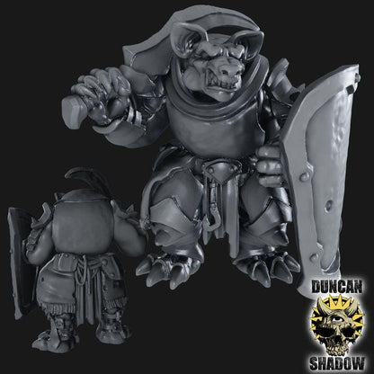 Gnolls mit Handwaffe und Schild  32mm  Tabletop  Fantasy  Gaming  D&D  Dungeons and Dragons  Pathfinder  DSA Duncan Shadow