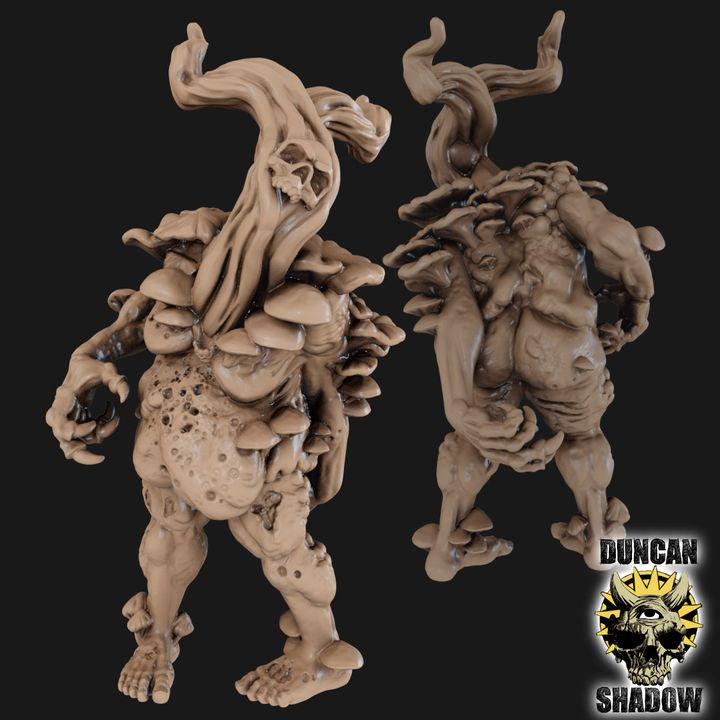 Fungus Zombies  32mm  Tabletop  Fantasy  Gaming  D&D  Dungeons and Dragons  Pathfinder  DSA Duncan Shadow