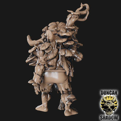 Fungus Hexe  32mm  Tabletop  Fantasy  Gaming  D&D  Dungeons and Dragons  Pathfinder  DSA Duncan Shadow