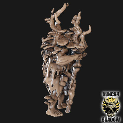 Fungus Hexe  32mm  Tabletop  Fantasy  Gaming  D&D  Dungeons and Dragons  Pathfinder  DSA Duncan Shadow
