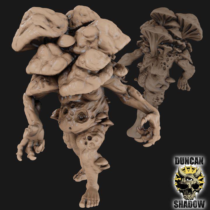 Fungus Zombies  32mm  Tabletop  Fantasy  Gaming  D&D  Dungeons and Dragons  Pathfinder  DSA Duncan Shadow